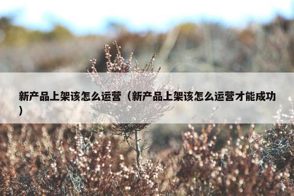 新产品上架该怎么运营（新产品上架该怎么运营才能成功）
