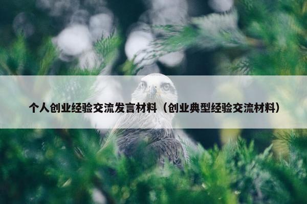 个人创业经验交流发言材料（创业典型经验交流材料）