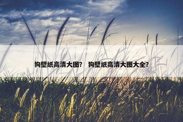 狗壁纸高清大图？ 狗壁纸高清大图大全？