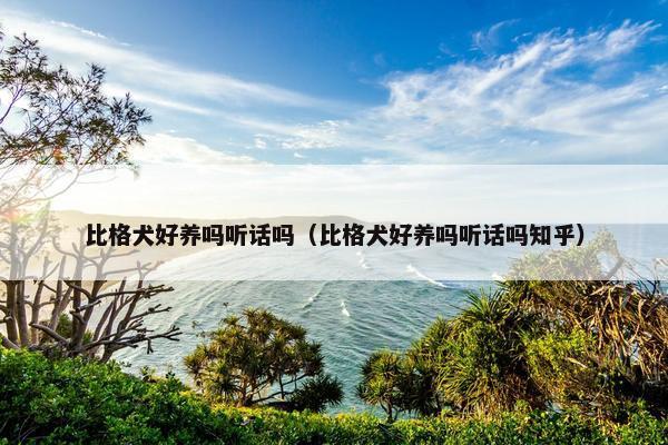 比格犬好养吗听话吗（比格犬好养吗听话吗知乎）
