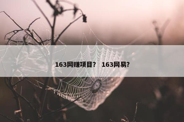 163网赚项目？ 163网易？
