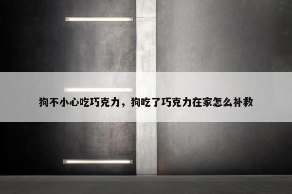 狗不小心吃巧克力，狗吃了巧克力在家怎么补救