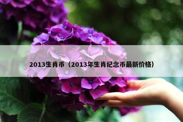 2013生肖币（2013年生肖纪念币最新价格）