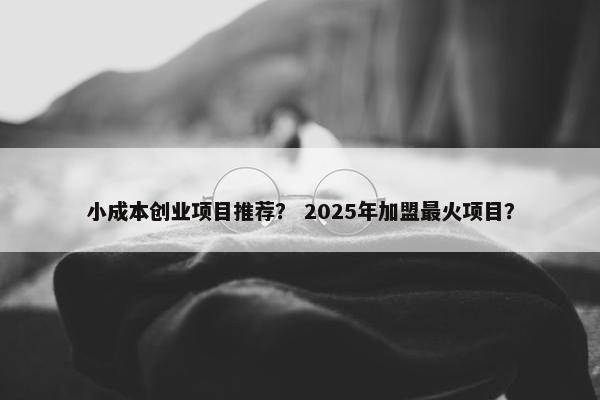 小成本创业项目推荐？ 2025年加盟最火项目？
