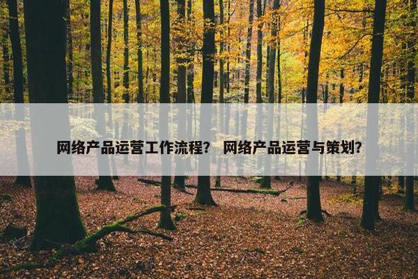 网络产品运营工作流程？ 网络产品运营与策划？