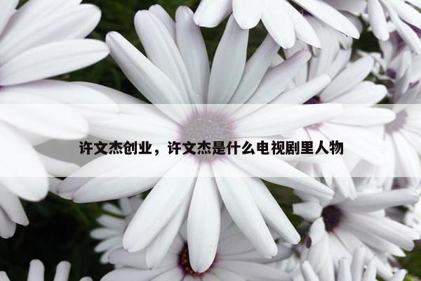 许文杰创业，许文杰是什么电视剧里人物