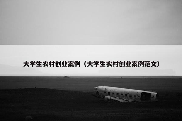 大学生农村创业案例（大学生农村创业案例范文）