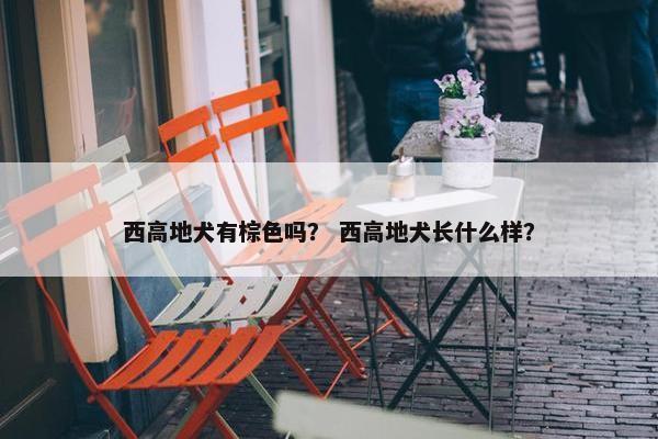 西高地犬有棕色吗？ 西高地犬长什么样？