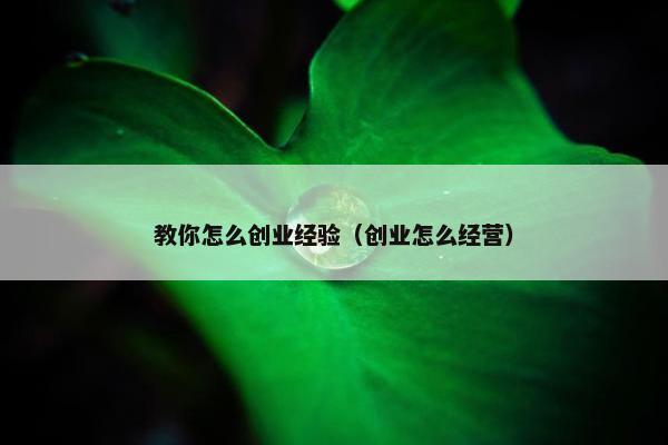 教你怎么创业经验（创业怎么经营）