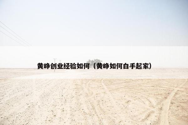 黄峥创业经验如何（黄峥如何白手起家）