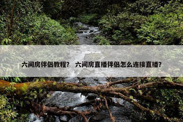 六间房伴侣教程？ 六间房直播伴侣怎么连接直播？