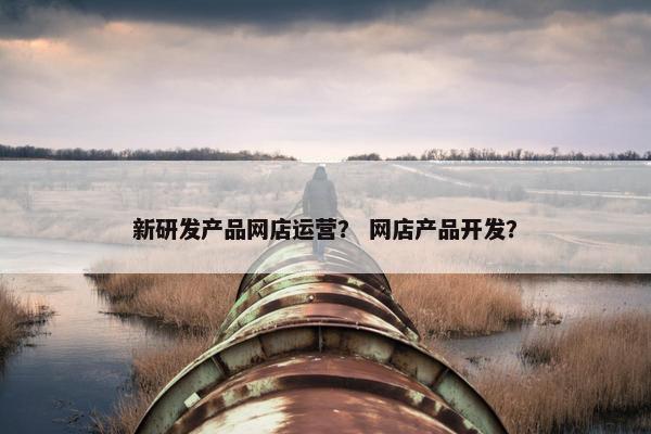 新研发产品网店运营？ 网店产品开发？