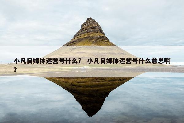 小凡自媒体运营号什么？ 小凡自媒体运营号什么意思啊？