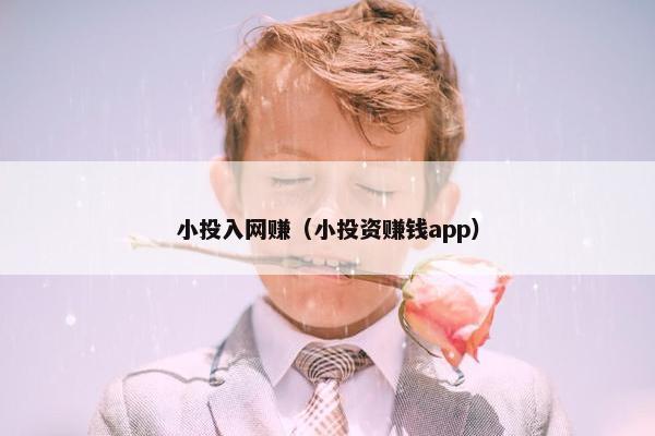 小投入网赚（小投资赚钱app）