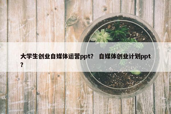 大学生创业自媒体运营ppt？ 自媒体创业计划ppt？