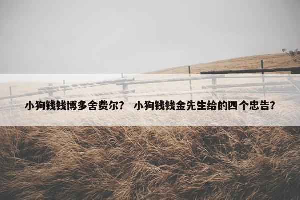 小狗钱钱博多舍费尔？ 小狗钱钱金先生给的四个忠告？