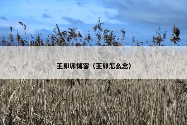 王卯卯博客（王卯怎么念）