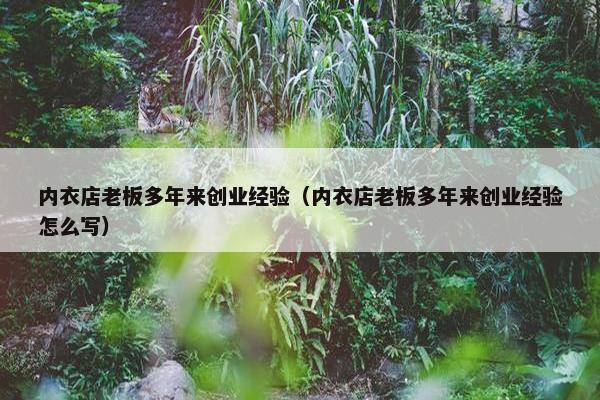 内衣店老板多年来创业经验（内衣店老板多年来创业经验怎么写）