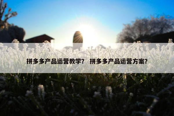 拼多多产品运营教学？ 拼多多产品运营方案？