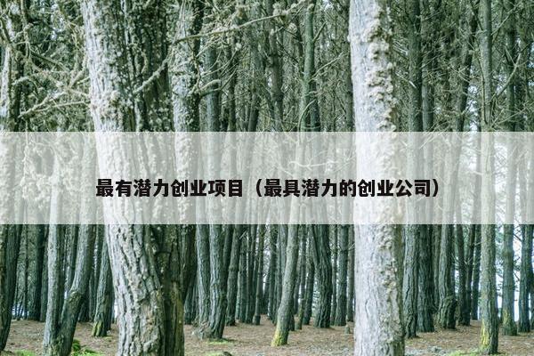 最有潜力创业项目（最具潜力的创业公司）