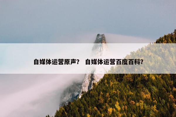 自媒体运营原声？ 自媒体运营百度百科？