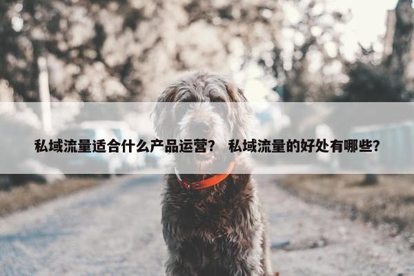 私域流量适合什么产品运营？ 私域流量的好处有哪些？