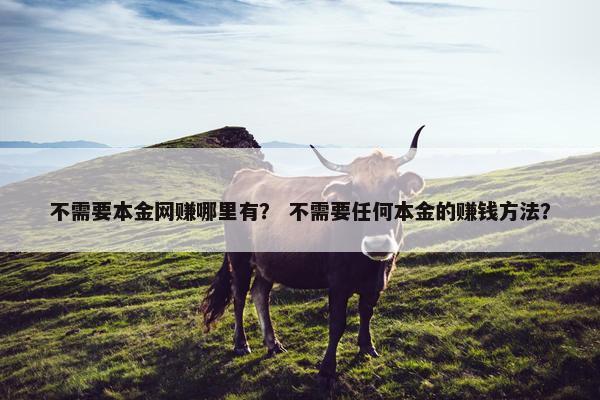 不需要本金网赚哪里有？ 不需要任何本金的赚钱方法？