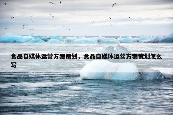 食品自媒体运营方案策划，食品自媒体运营方案策划怎么写
