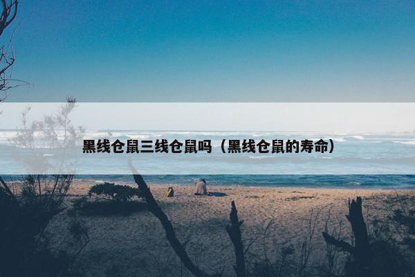 黑线仓鼠三线仓鼠吗（黑线仓鼠的寿命）