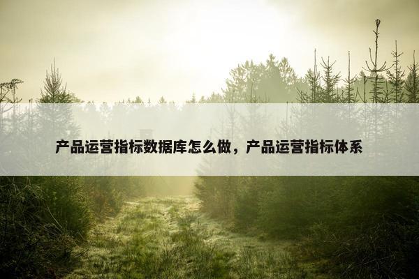 产品运营指标数据库怎么做，产品运营指标体系