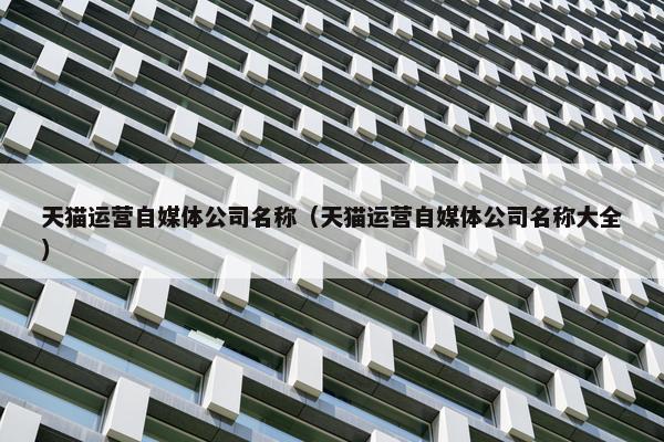 天猫运营自媒体公司名称（天猫运营自媒体公司名称大全）