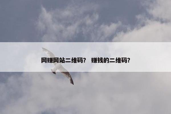 网赚网站二维码？ 赚钱的二维码？