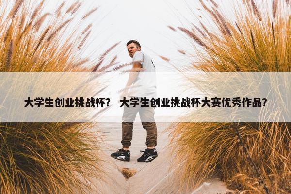 大学生创业挑战杯？ 大学生创业挑战杯大赛优秀作品？