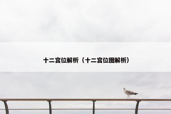十二宫位解析（十二宫位图解析）