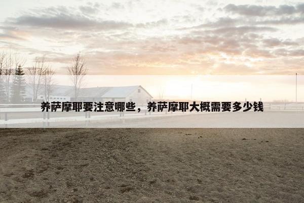 养萨摩耶要注意哪些，养萨摩耶大概需要多少钱