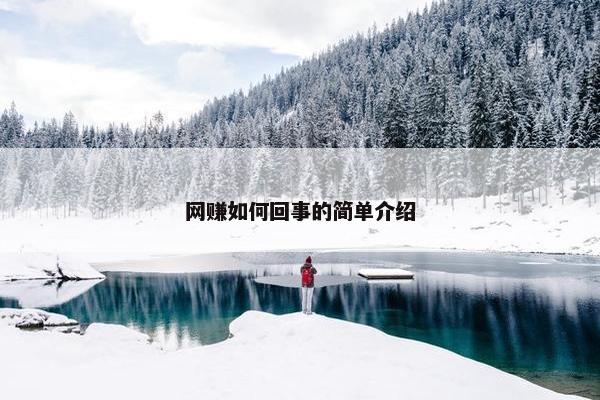 网赚如何回事的简单介绍