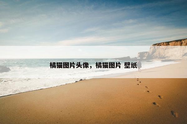 橘猫图片头像，橘猫图片 壁纸