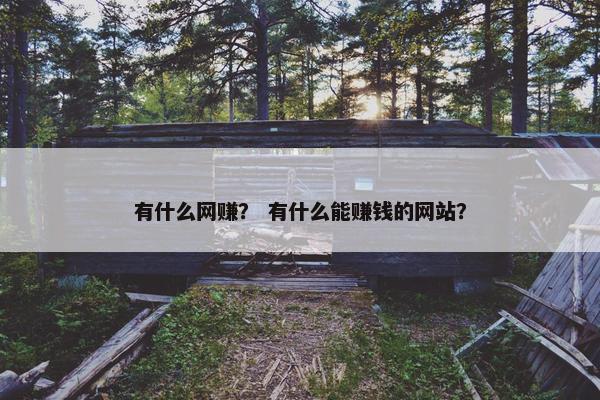 有什么网赚？ 有什么能赚钱的网站？