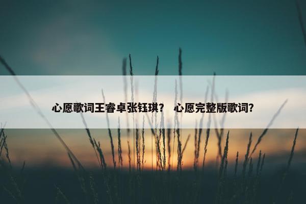 心愿歌词王睿卓张钰琪？ 心愿完整版歌词？
