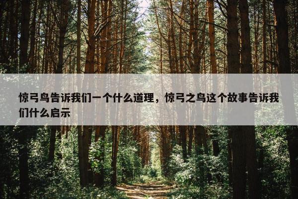 惊弓鸟告诉我们一个什么道理，惊弓之鸟这个故事告诉我们什么启示