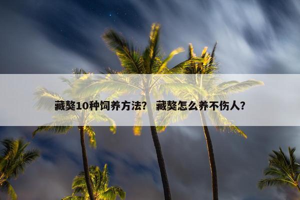 藏獒10种饲养方法？ 藏獒怎么养不伤人？