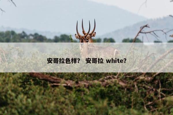 安哥拉色样？ 安哥拉 white？