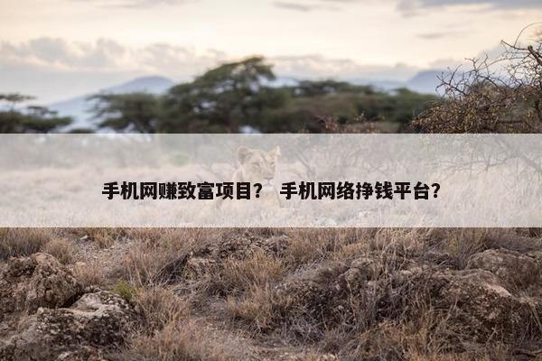 手机网赚致富项目？ 手机网络挣钱平台？