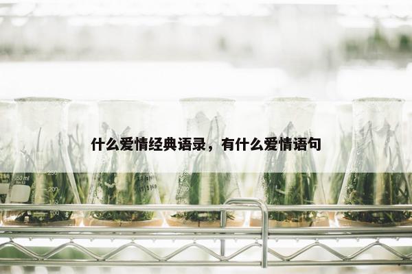 什么爱情经典语录，有什么爱情语句