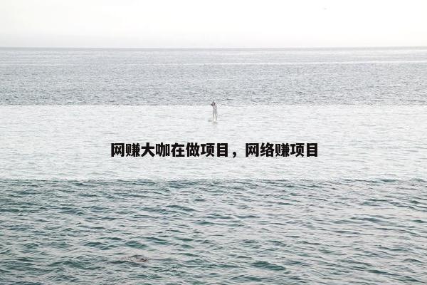 网赚大咖在做项目，网络赚项目