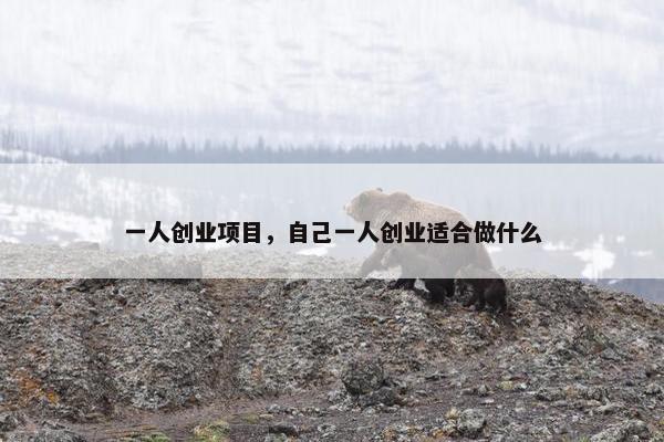 一人创业项目，自己一人创业适合做什么