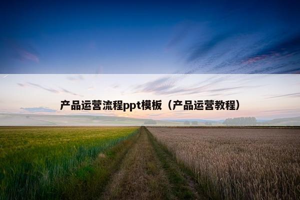 产品运营流程ppt模板（产品运营教程）