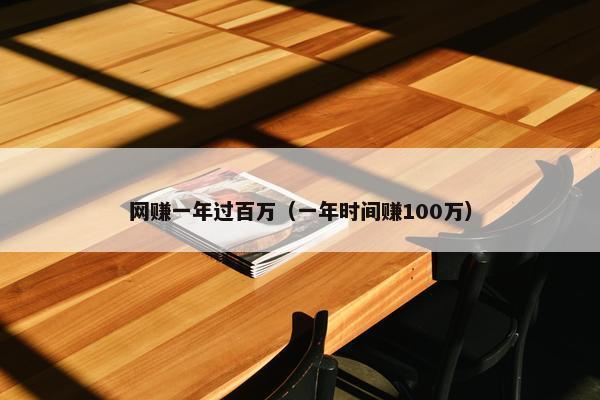 网赚一年过百万（一年时间赚100万）