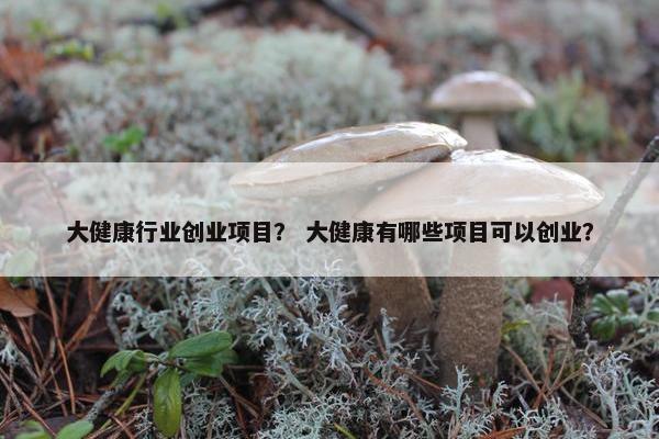 大健康行业创业项目？ 大健康有哪些项目可以创业？