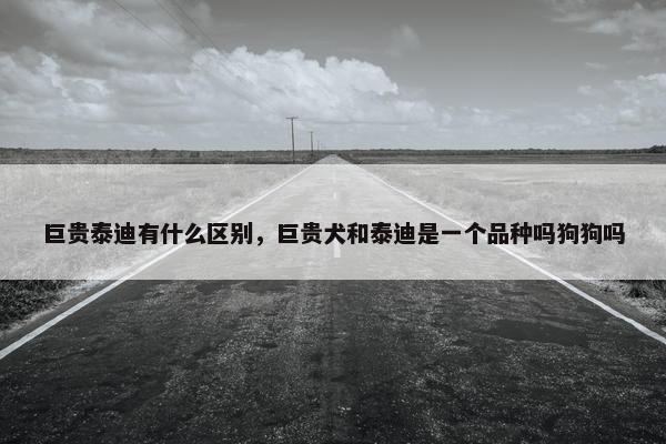 巨贵泰迪有什么区别，巨贵犬和泰迪是一个品种吗狗狗吗